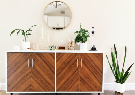 styling indoor plants